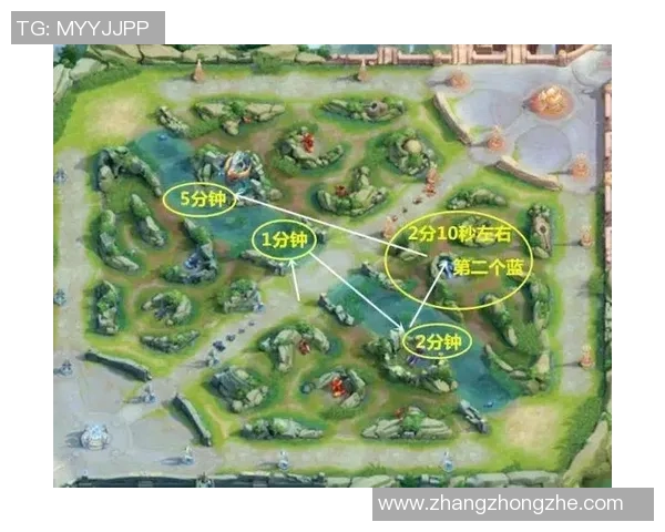 从零起步掌握王者荣耀战术全解析助你成为游戏高手