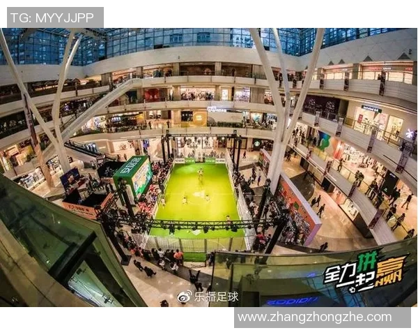 南京足球队运营分析：成功与挑战并存的背后故事