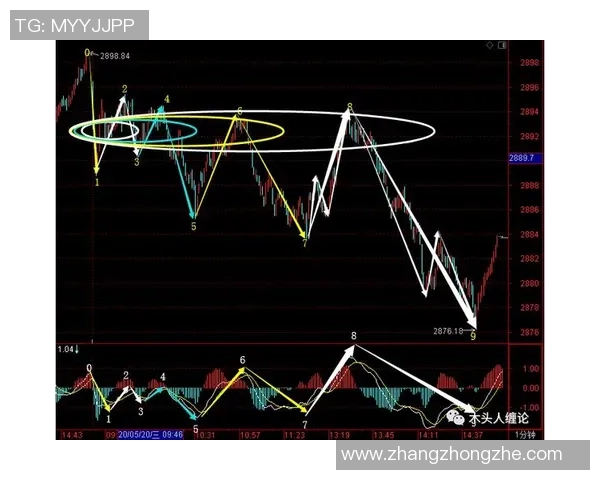 杭州网球队防反战术深度解析与实战应用探讨 杭州网球队防反战术深度解析与实战应用探讨